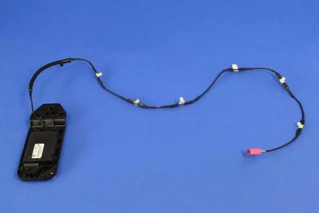 Remote Start And Keyless Entry Antenna