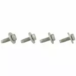 Hinge Screw