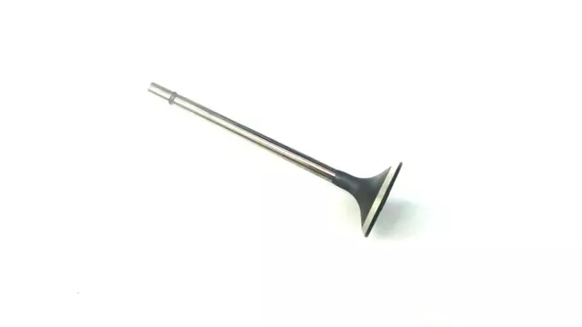 Exhaust Valve