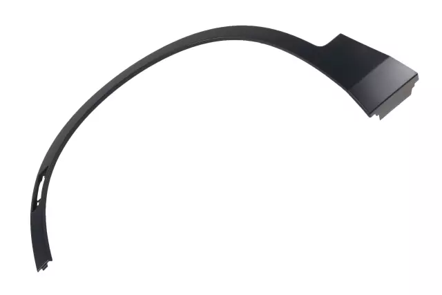 Front Driver Side Wheel Opening Molding