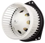 Fan & Motor