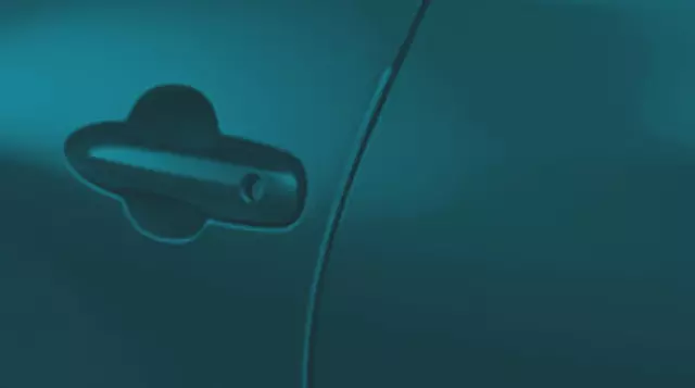 Door Edge Guards, Electric Storm Blue