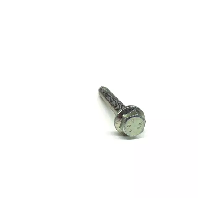 Rear Support Mount Bolt