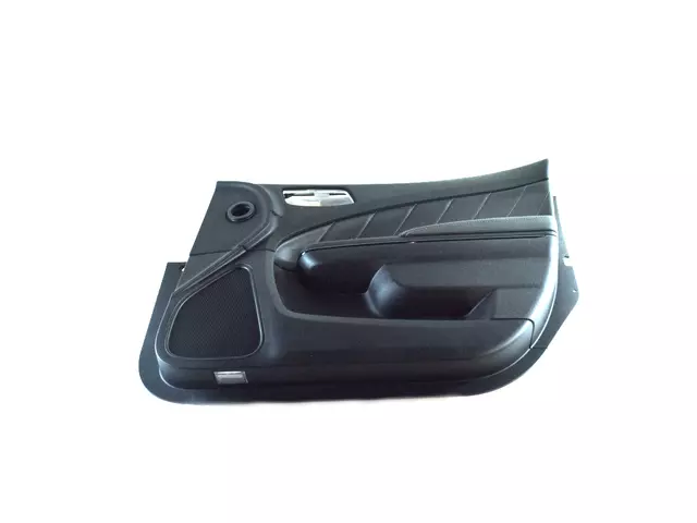2016-2018 Dodge Charger Front Door Trim Panel Assembly, Right