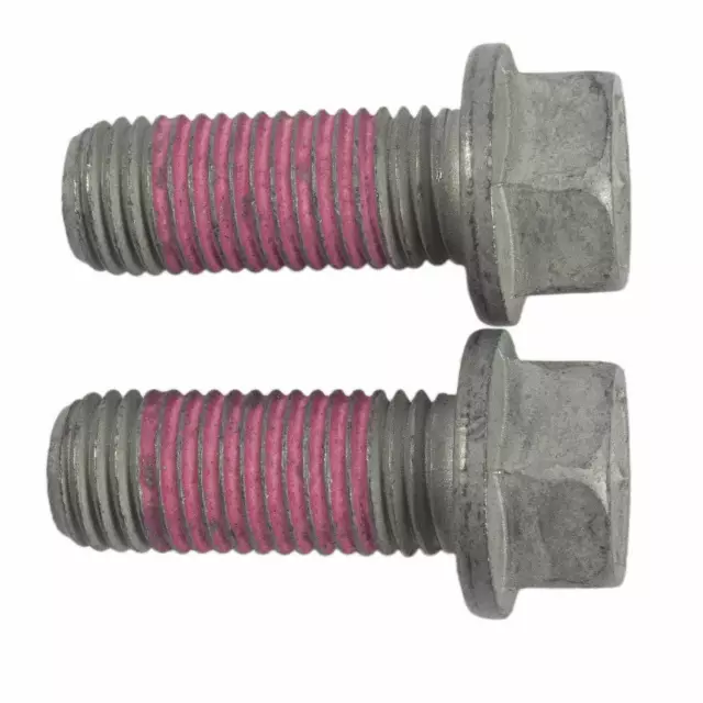 2008-2009 Ford Disc Brake Caliper Bracket Mounting Bolt