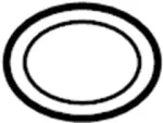 Catalytic Converter Gasket