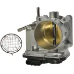 Fuel Injection Throttle Body