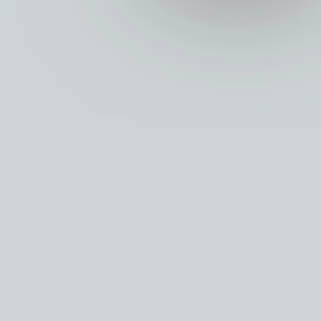 Touch-Up Paint Spray