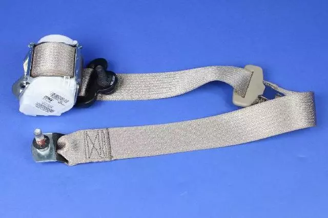 Rear Outer Seat Belt