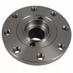 Companion Flange