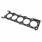 Head Gasket