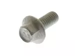 Hold Down Screw