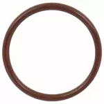 Fuel Pump Gasket