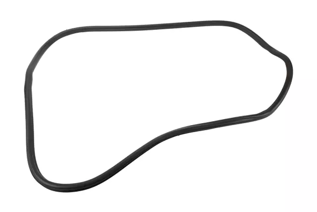 Rear Side Door Weatherstrip