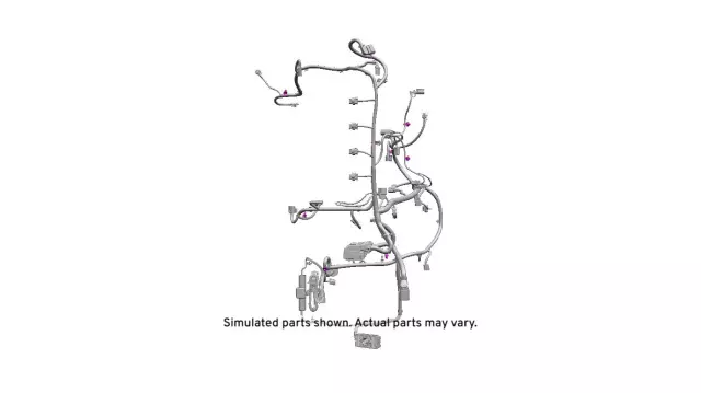 Engine Wiring Harness