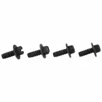 License Bracket Screw