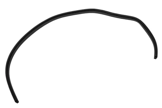 Sunroof Window Seal