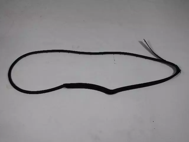 Rear Door Mounted Weatherstrip, Right