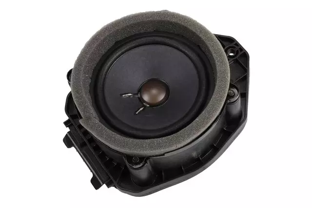 Rear Side Door Speaker