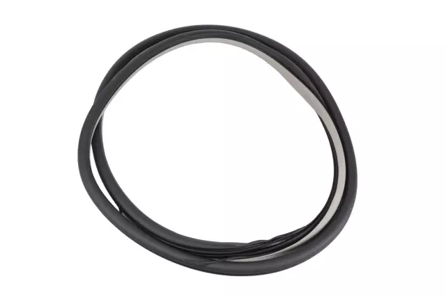 Light Platinum Front Side Door Weatherstrip