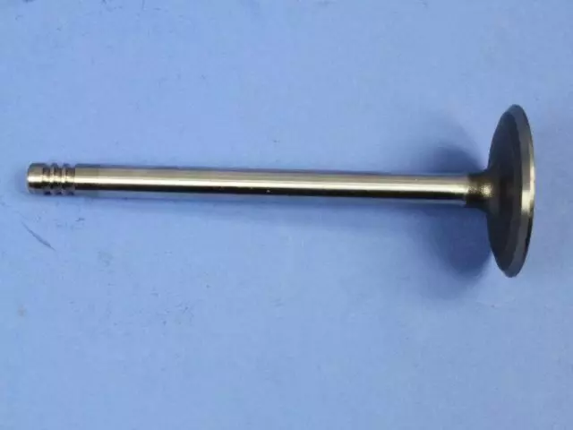 Intake Valve