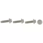 Seat Belt Assembly Screw