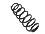 Front Coil Spring, Right