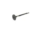 Exhaust Valve