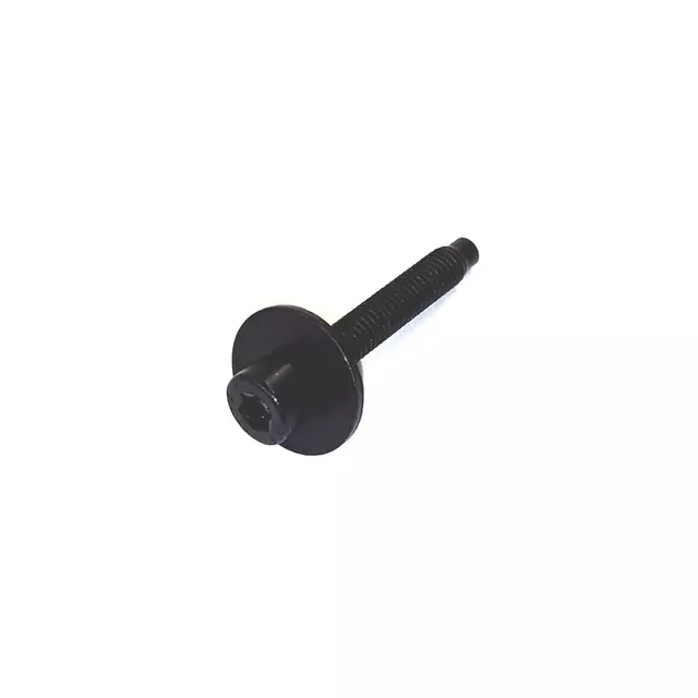 Retainer Plate Screw