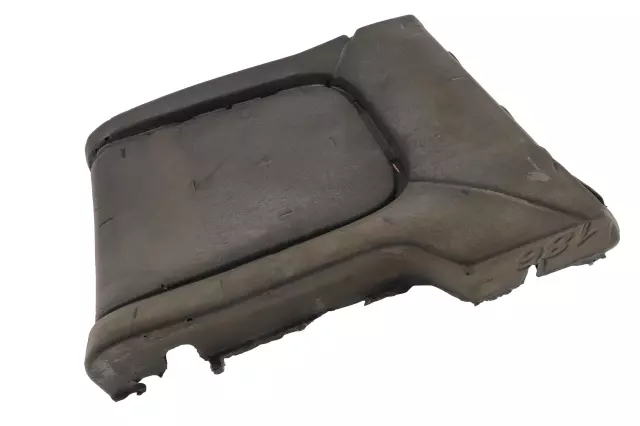 Rear Driver Side Seat Back Pad