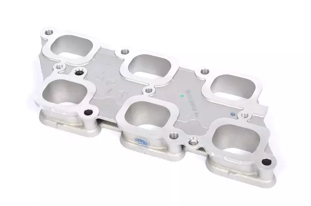 Lower Intake Manifold