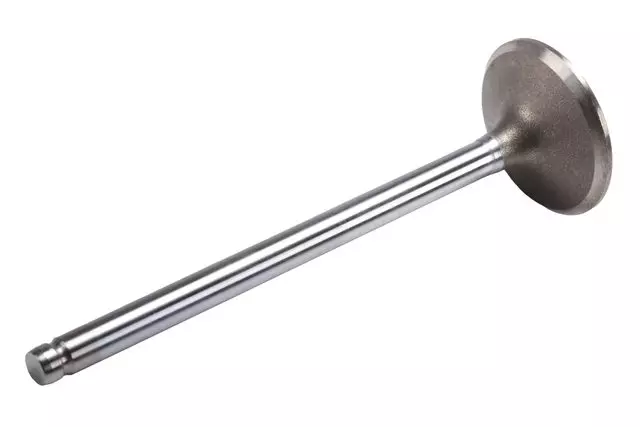 Exhaust Valve