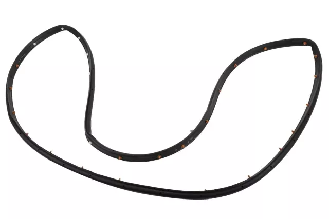 Rear Driver Side Door Weatherstrip