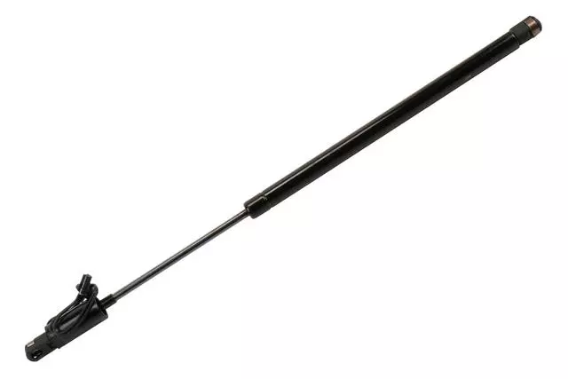 Liftgate Strut