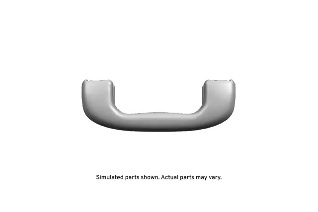 Light Titanium Roof Rail Assist Handle