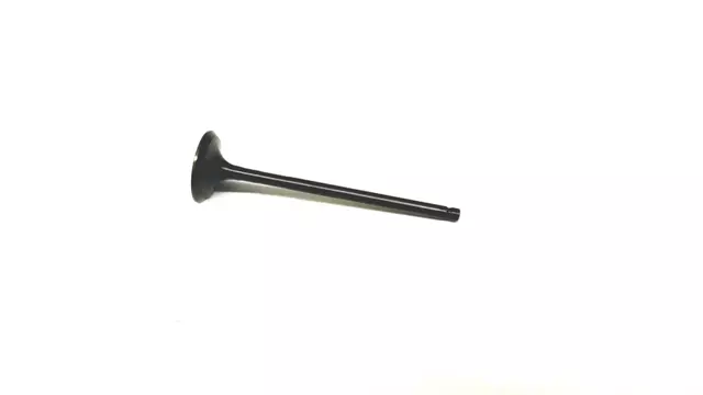Exhaust Valve