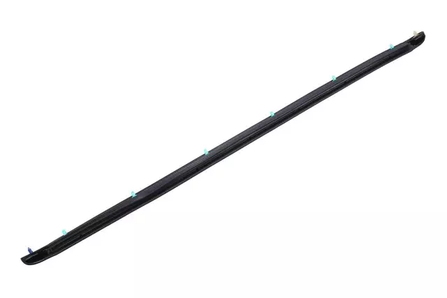 Rear Driver Side Door Lower Auxiliary Weatherstrip