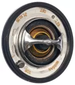 Engine Coolant Thermostat