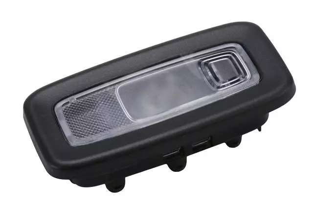 Black Driver Side Roof Rail Rear Reading and Courtesy Lamp