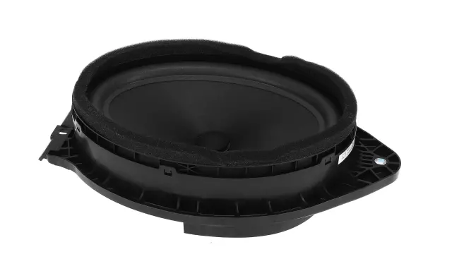 Radio Front Side Door Speaker