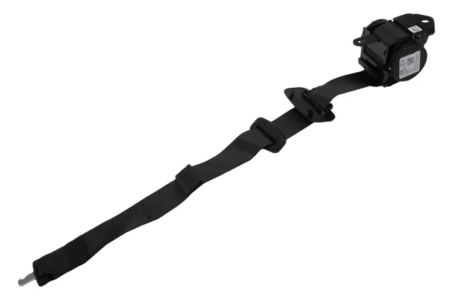 Center Belt Assembly