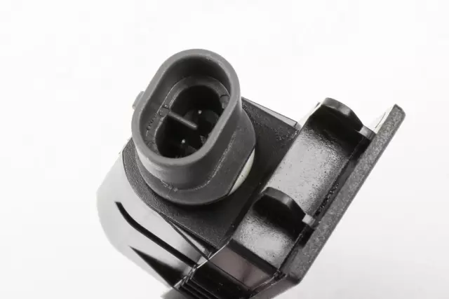 Rear License Plate Lamp