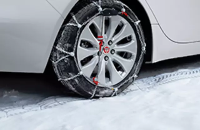 Snow Traction System