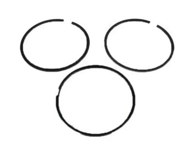 2003-2010 Ford - Piston Rings