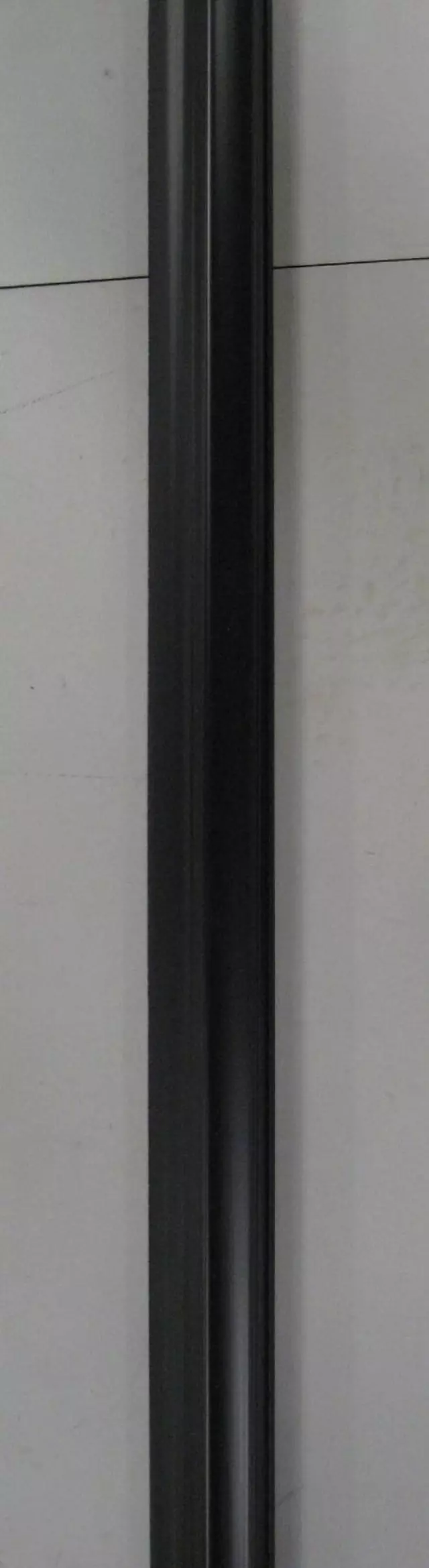 2004-2008 Toyota Solara - Belt Molding