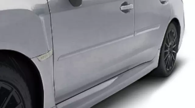 Body Side Molding - Magnetite Gray Metallic