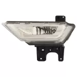 Fog Lamp Assembly