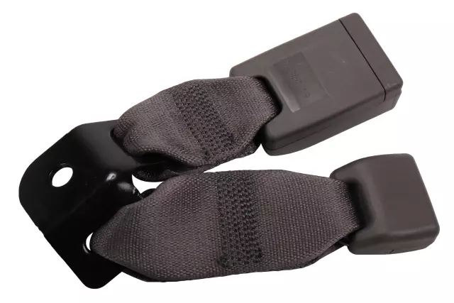 Gray Rear Passenger Side Seat Belt Buckle