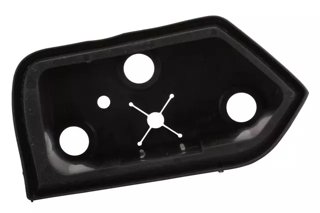 Passenger Side Door Mirror Gasket