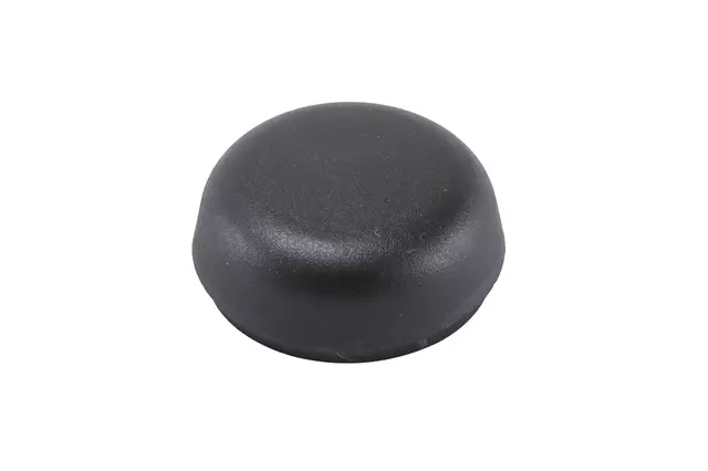 Windshield Wiper Arm Finish Cap
